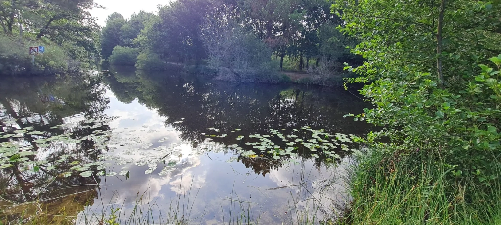 Etude de plan d'eau